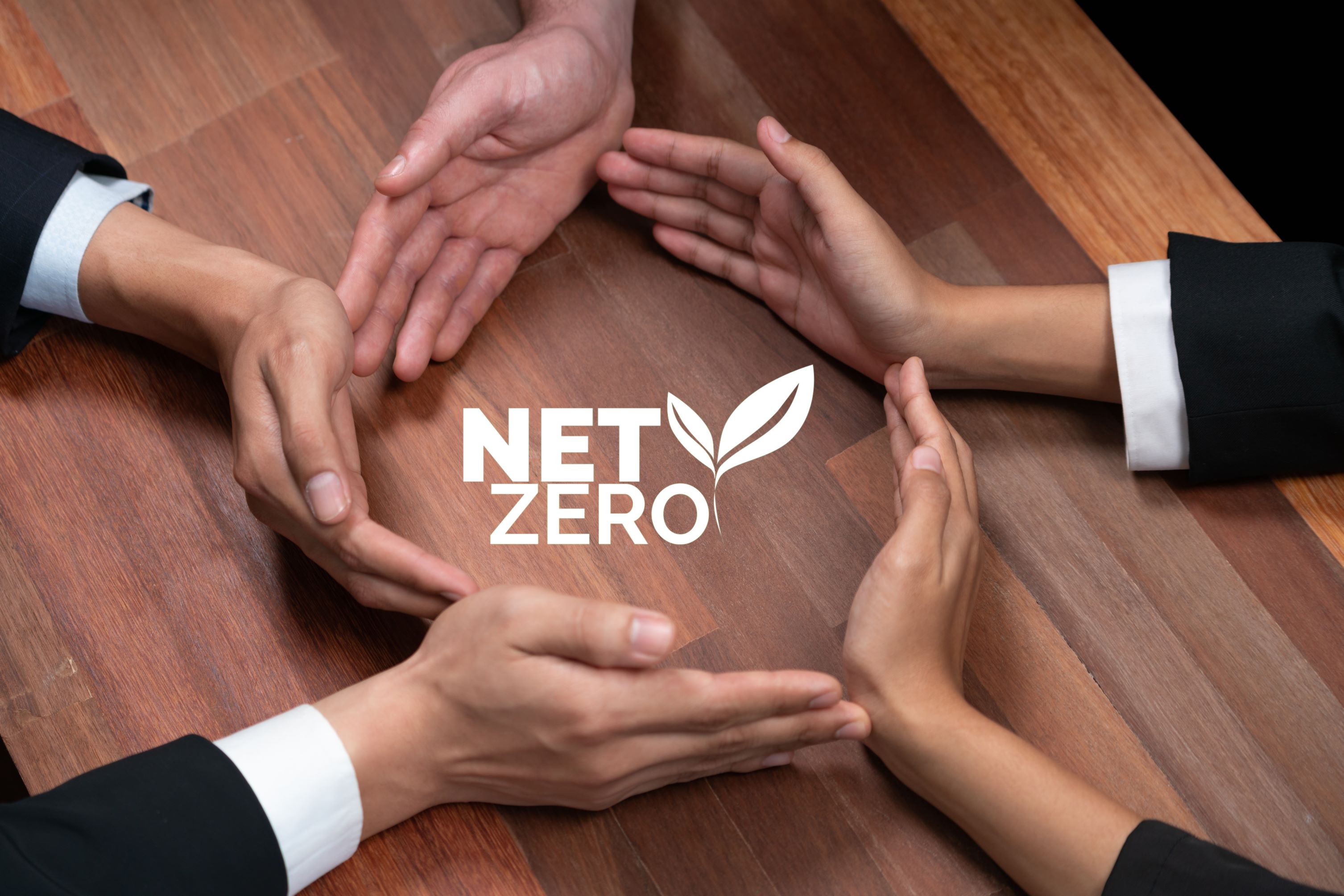 Net Zero Carbon Assessment